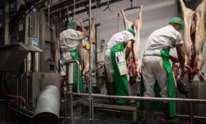 Sorting out the offal in the pig section