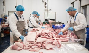Slicing the pig meat parts.