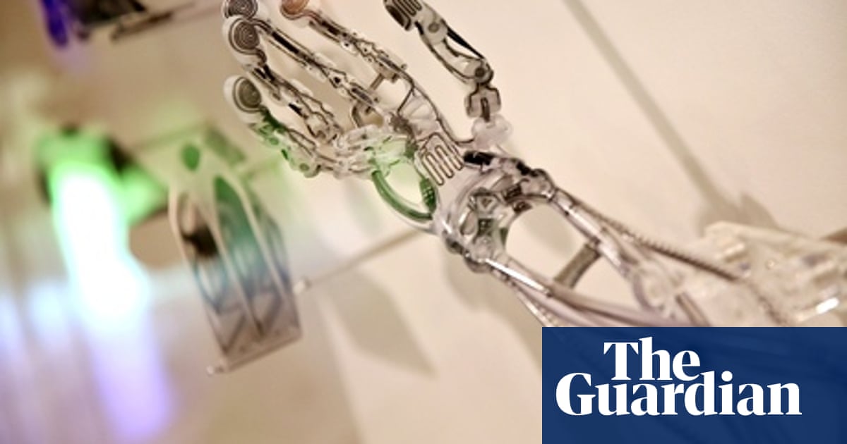 3d Printing What Does It Mean For Sanitation And Shelter Global Development Professionals Network The Guardian