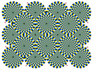 Rotating Snakes - circular snakes appear to rotate spontaneously, using the peripheral drift illusion