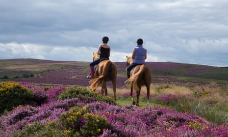 Live Better: Why I love horse riding