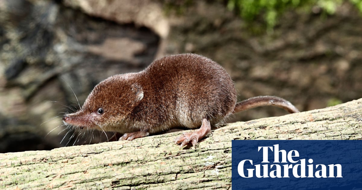 An unexceptional passing | Wildlife | The Guardian