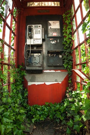Botanical Britain category winner: 'Green and Red Telephone Box', covered in ivy taken in London by Philip Braude.