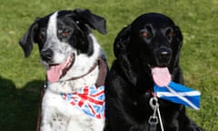 Dogs wearing a union flag and a Scottish Saltire at the Birnam Highland Games in Scotland