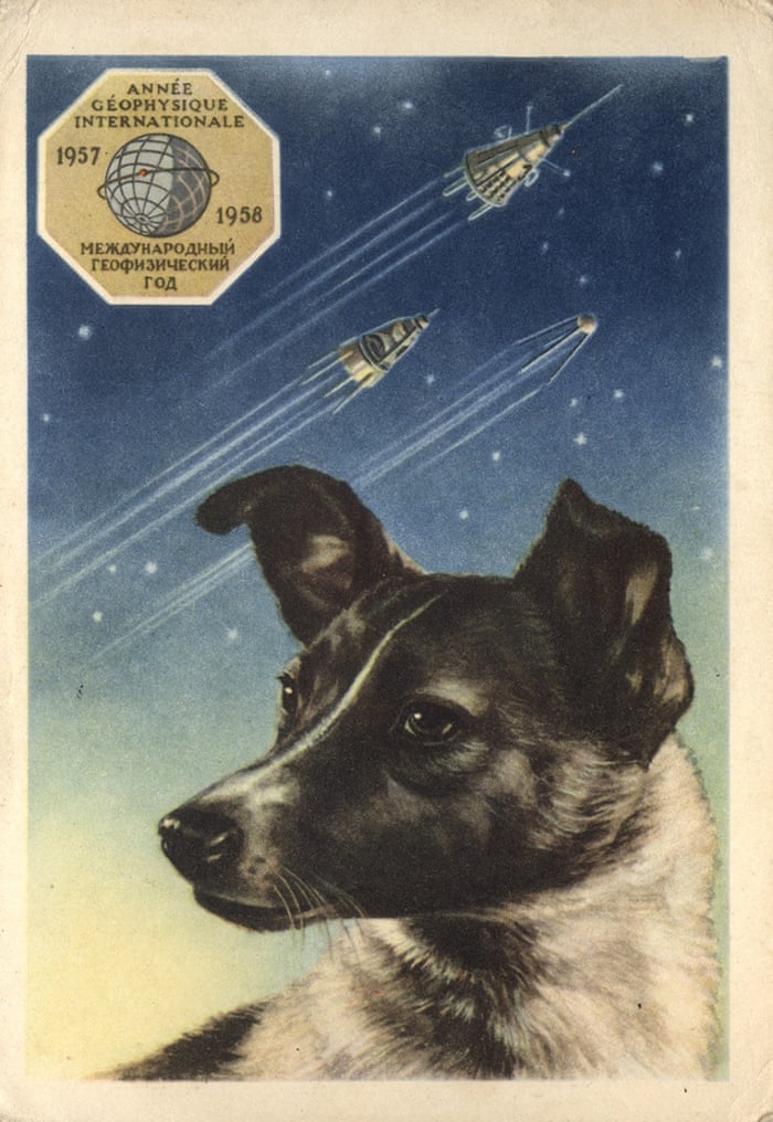Soviet space dog 2024 1957