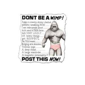 willy wimp: wimp 2 dont be a wimp