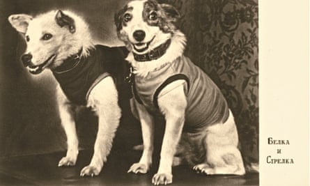 Belka and Strelka at their first press conference