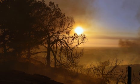 A photo made available 15 May 2014 shows smoldering trees obscuring the sunset atop a hill in San Marcos, San Diego county, California, USA, 14 May 2014. A spate of wildfires in southern California burned at least 30 homes and even forced the evacuation of the San Onofre nuclear power plant, authorities said 14 May.