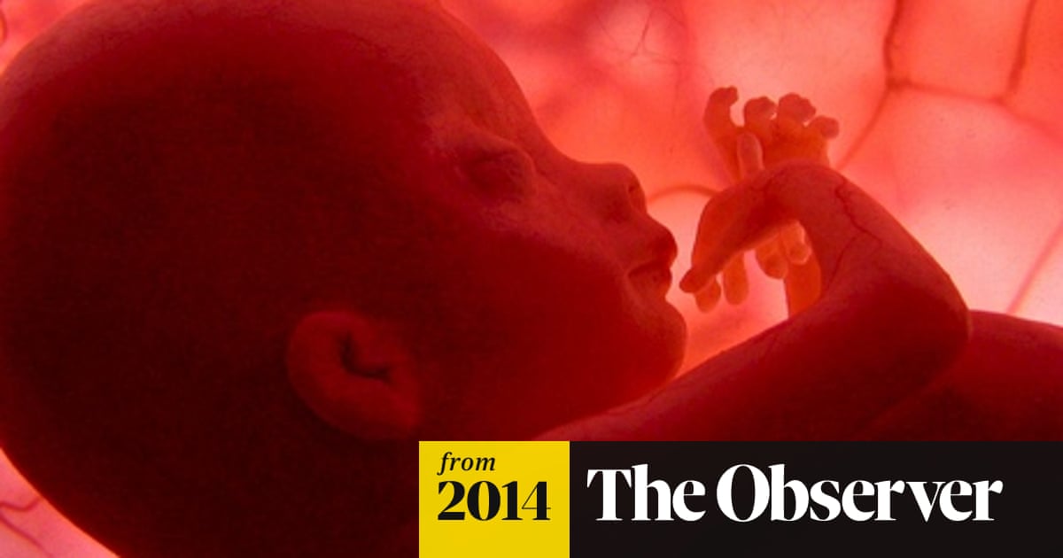 Pregnancy fetal foetus development . Embryonic month stage growth month by month