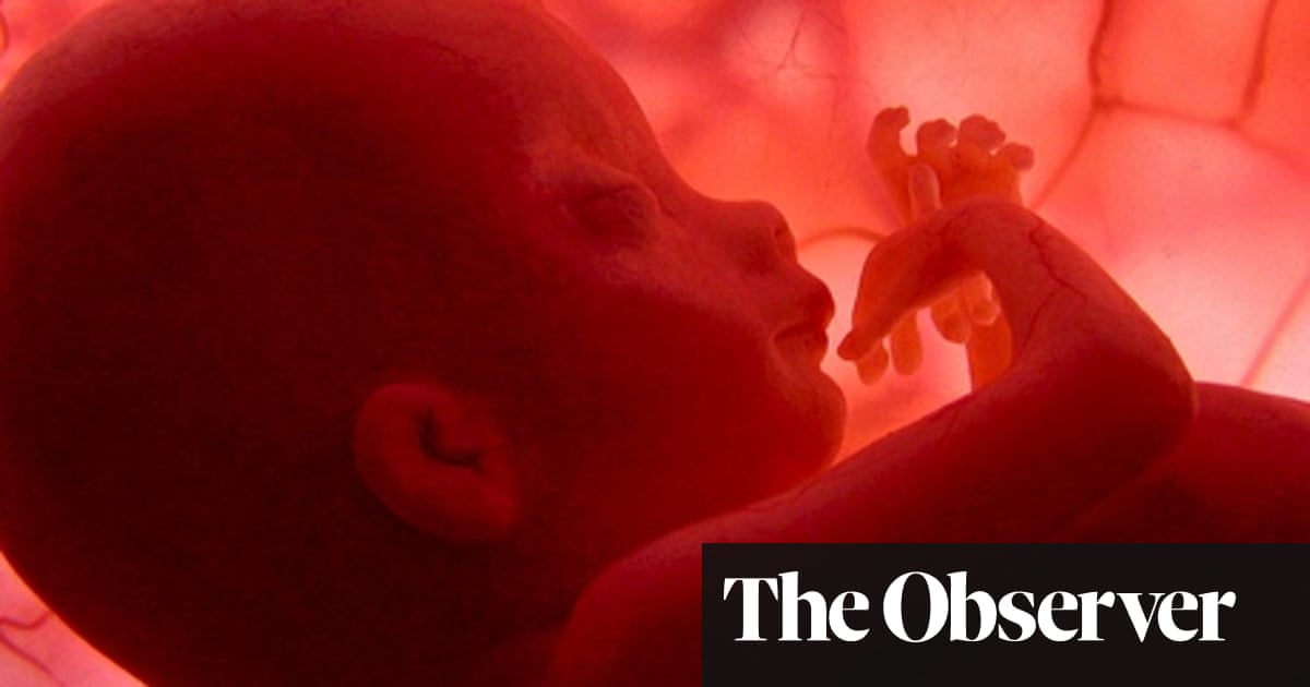 So You Think You Know Where Babies Come From Genetics The Guardian So You Think You Know Where Babies Come From Genetics The Guardian