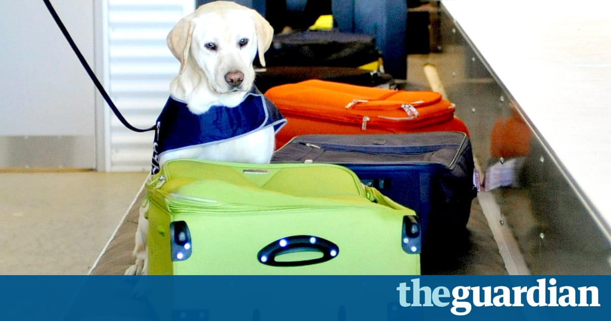 I agree with Agassiz that dogs possess s by Charles Darwin ... Police apologise for leaving plastic explosive in suitcase ...