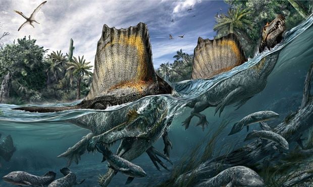 Giant predatory dinosaur Spinosaurus was scourge of prehistoric rivers