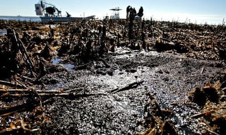 Months After BP Oil Spill