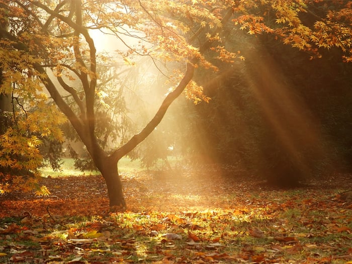 Landscape Photography Autumn landscape-photography-autumn