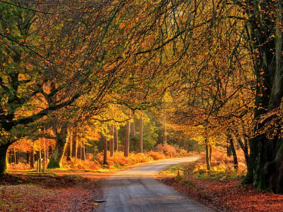 Autumn Landscapes Expert Tips On Taking Great Photographs Travel Photography The Guardian Autumn Landscapes Expert Tips On Taking Great Photographs Travel Photography The Guardian