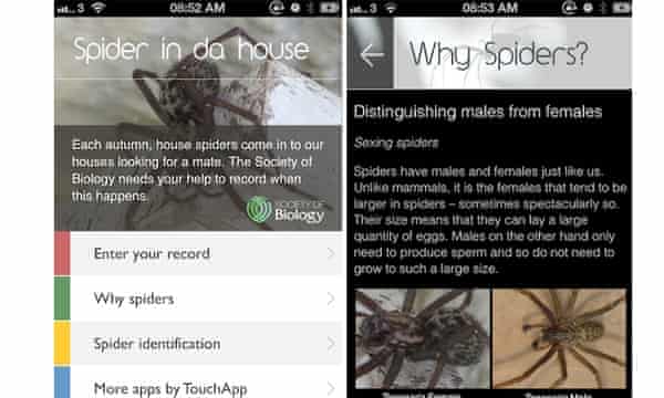 Spider App Launched By Ecologists Wildlife The Guardian