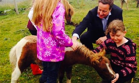 David Cameron and Shetland pony