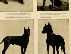 Haruki Murakami's illustrated The Strange Library – exclusive preview ...