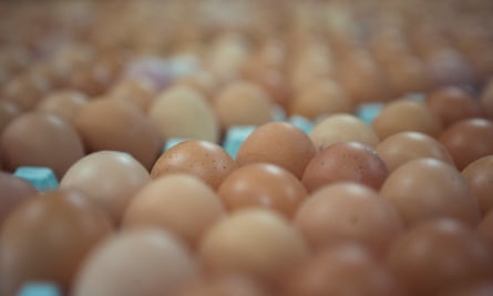 eggs Victoria