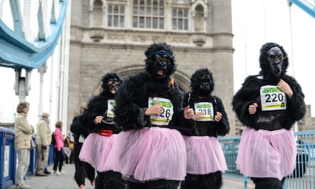 The 2013 Gorilla Run