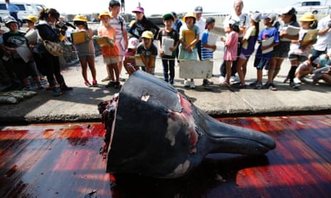To mark the start of Japan's whaling season, workers in the coastal town of Minamiboso carved up one of the animals as a crowd of grade school students and residents watched, with free samples of its fried meat handed out later