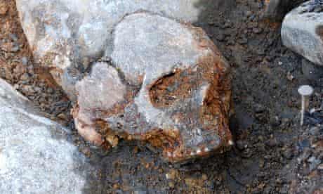 Kanaljorden cranium of woman