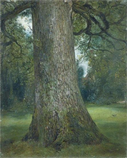 Study of the Trunk of an Elm Tree, John Constable, 1821.