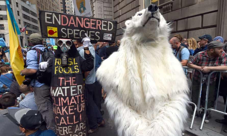 flood wall street polar bear protester