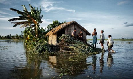 Jute harvesters in the floodwaters of the surging Brahmaputra river in Bangladesh.