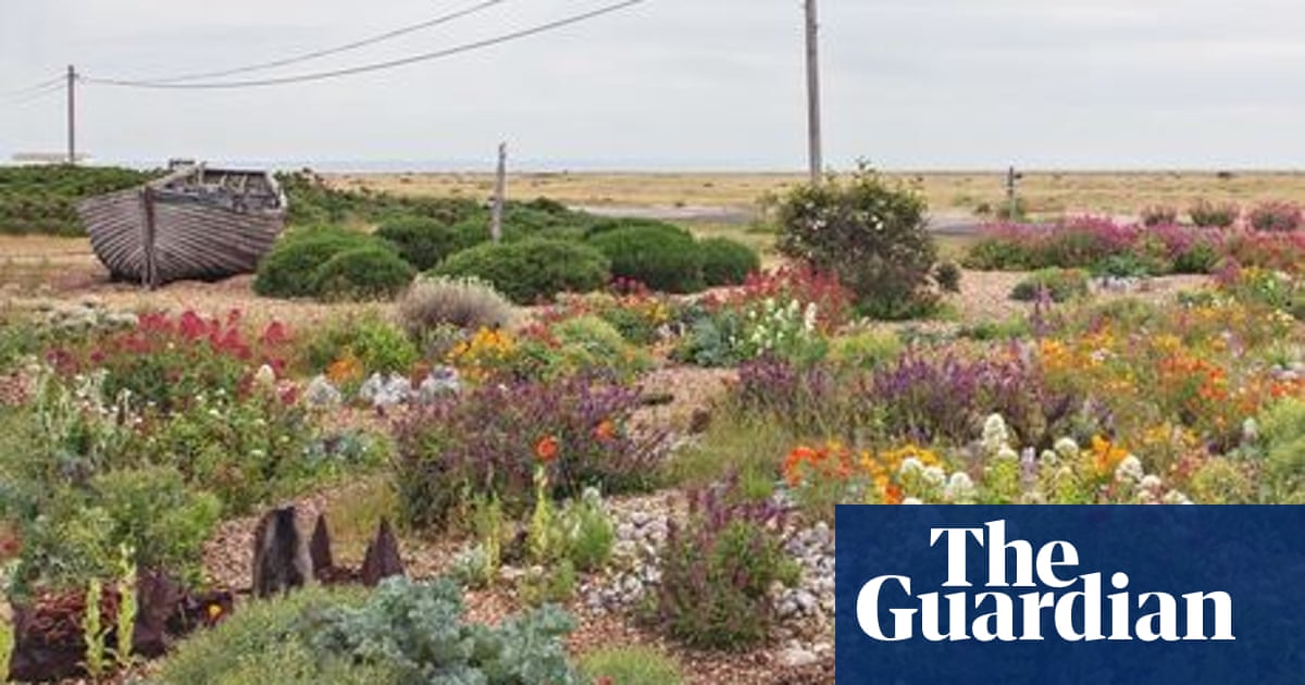 Derek Jarmans Garden Online Pdf Jungle Book Download 3gp