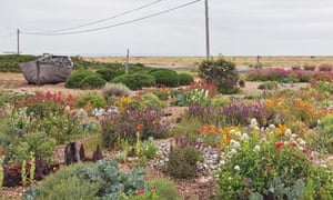 Gardens Planting On The Edge In Derek Jarman S Garden Life And