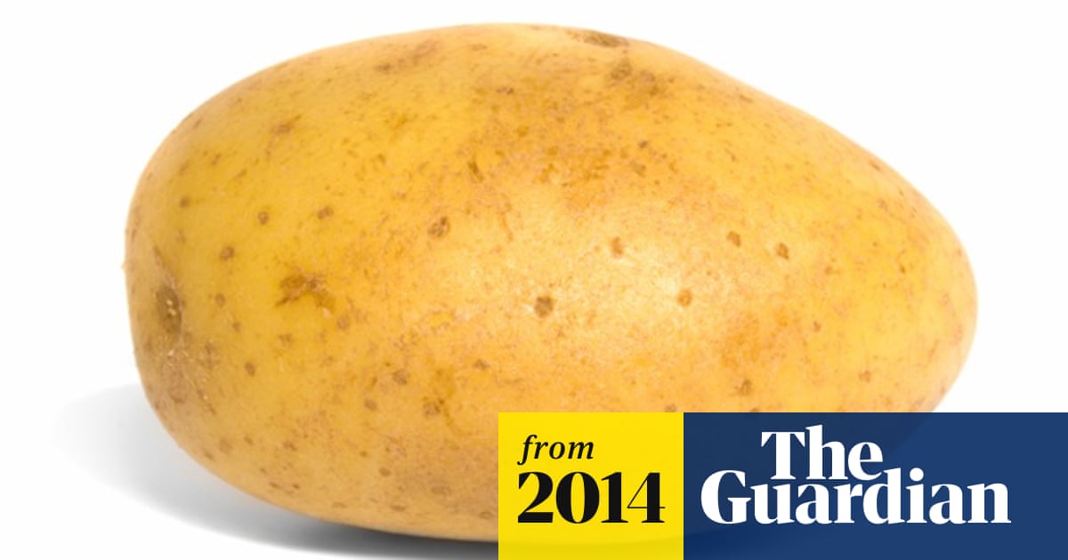 Innate Potato Heads For Market But Gm Watchdogs Chip Away At Simplot Success Gm The Guardian