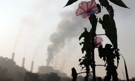 A flower grows close to a thermal power plant on the outskirts of Nagpur.