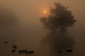 Ducks and geese are seen through the morning mist on the lake at sunrise in Richmond Park on September 23, 2014 in London, England. Tuesday marks the autumn equinox where day and night are of equal lengths.