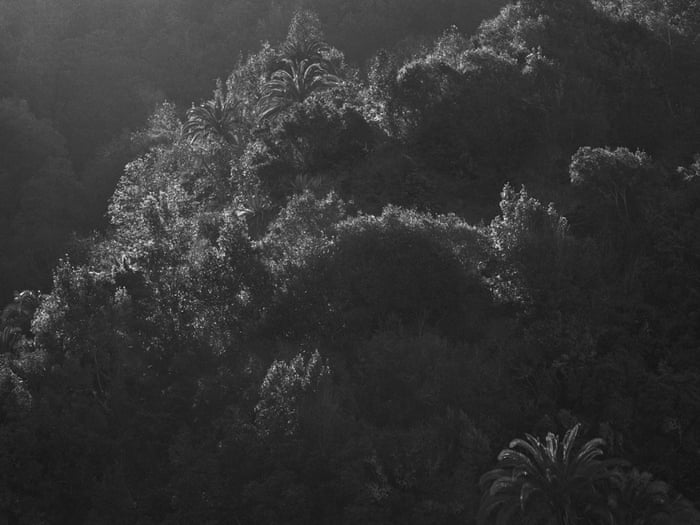 e7cfbaa4-62bd-4045-9fbf- e7cfbaa4-62bd-4045-9fbf-