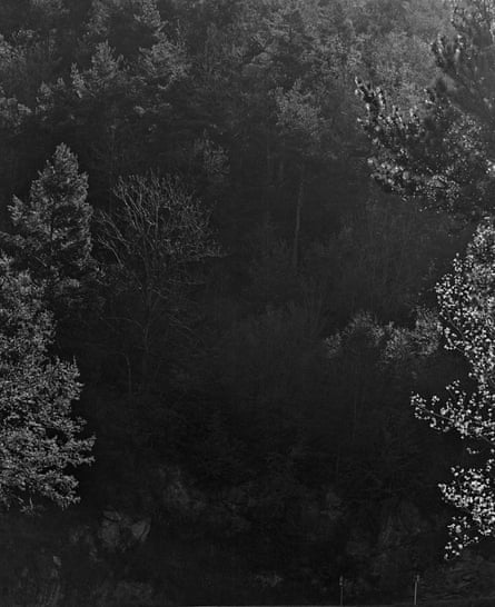 Bewitched by blackness: photographing the desolate beauty of the Bewitched by blackness: photographing the desolate beauty of the