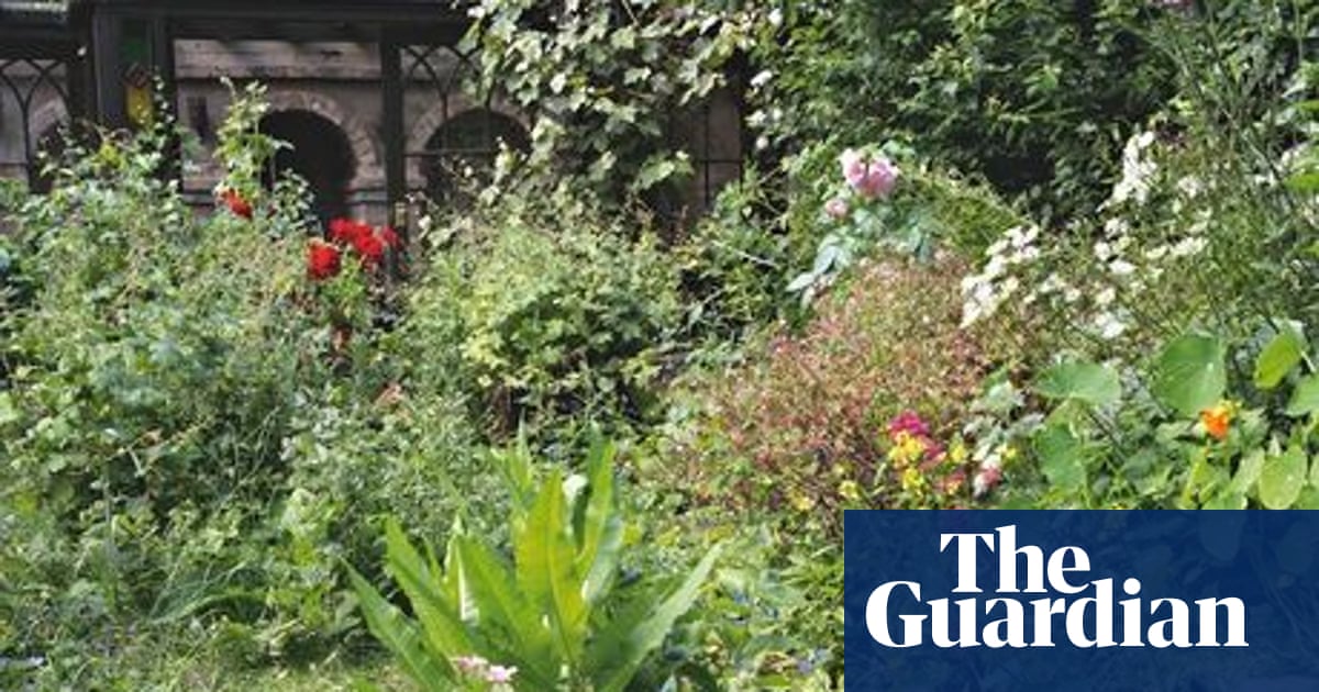 Gardens Novel Gardening Global The Guardian