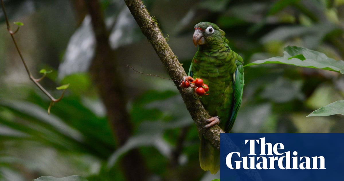 The Week In Wildlife In Pictures Environment The Guardian