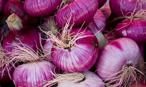 How to Cut an Onion - Pinch of Yum