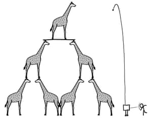 Three giraffes high ... Illustration from What If?
