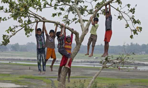 Bangladeshi children playing on a tree in the bank of the dried up river Kaliganga