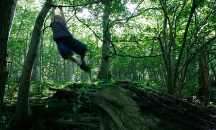 A child climbing trees in Cropton Bank Woods, north Yorkshire.