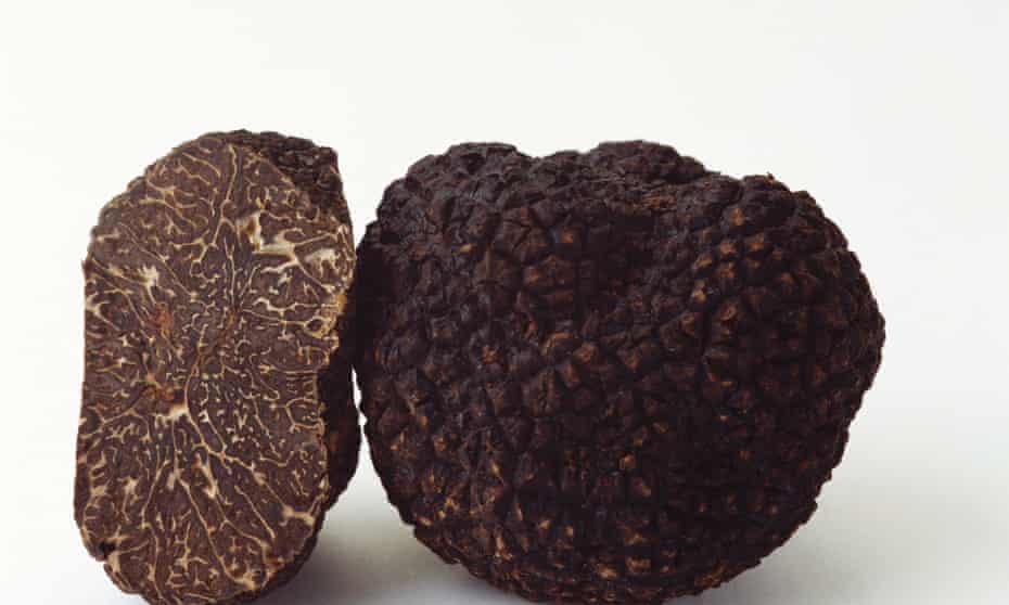 Whole and half black truffle from Perigord