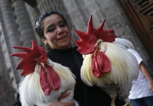 A woman holds a pair of roosters as they receive blessings from a priest outside the San Fernado Catholic church  on the feast day of Saint Anthony, the patron saint of domestic animals