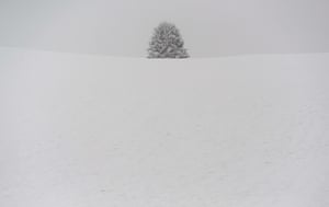 Thaining, Germany A tree stands on a snow-covered hill