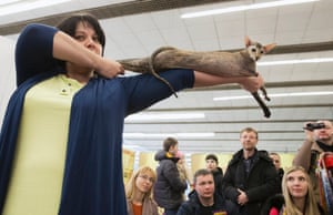 Minsk, Belarus An judge holds a cat during the best cat of Belarus international cat exhibition