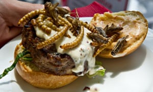 grasshopper burger