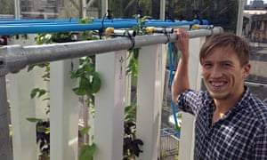 1000+ images about Garden on Pinterest | Vertical gardens ... From urban aquaponics to fruit jerky: meet London’s green ...