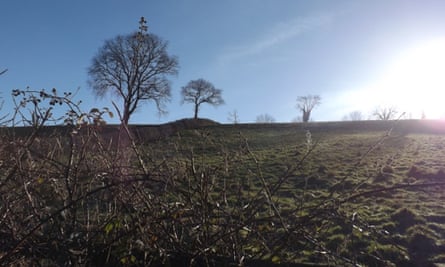 Yarner Beacon, near Totnes in Devon