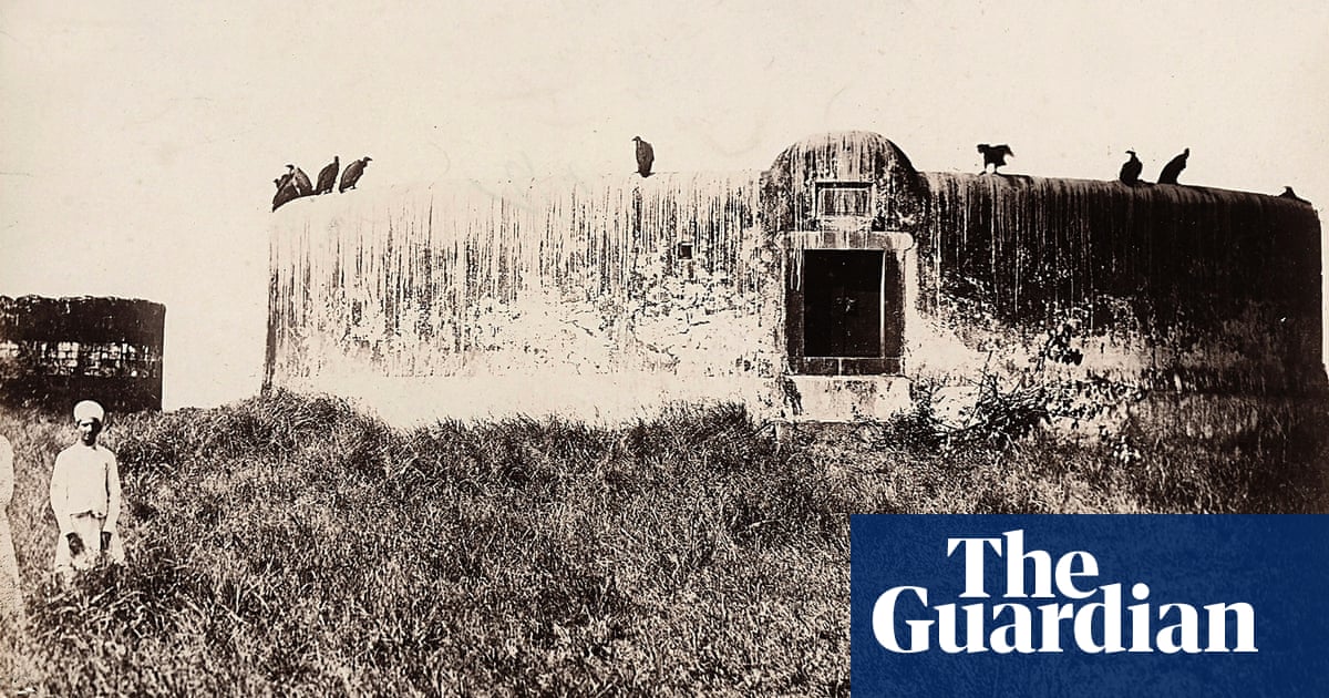 Death In The City How A Lack Of Vultures Threatens Mumbai S Towers Of Silence Cities The Guardian